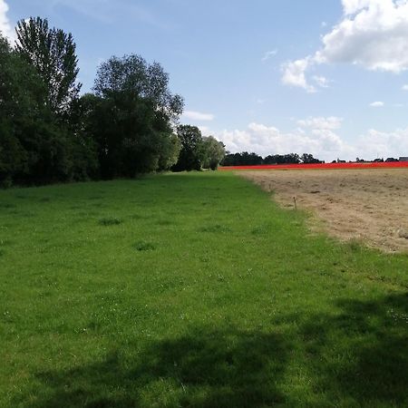 Ferienwohnung Moni Kitzscher Exteriör bild